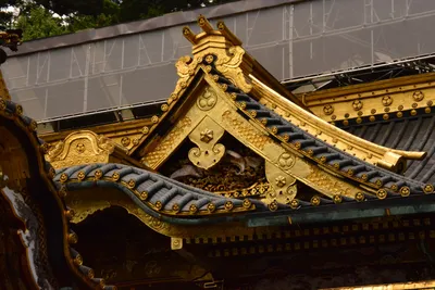 DSC_3873 (Large).JPG